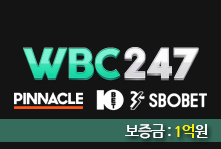 WBC247 업체 안내 이미지